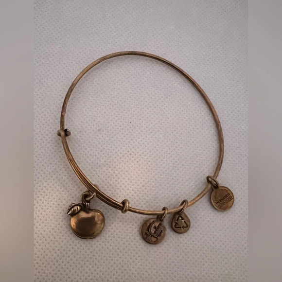 Alex and Ani | Apple of Abundance charm bracelet - Picture 14 of 16
